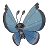 Dark Vivillon (Tundra)